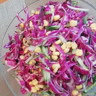 紫キャベツのサラダ